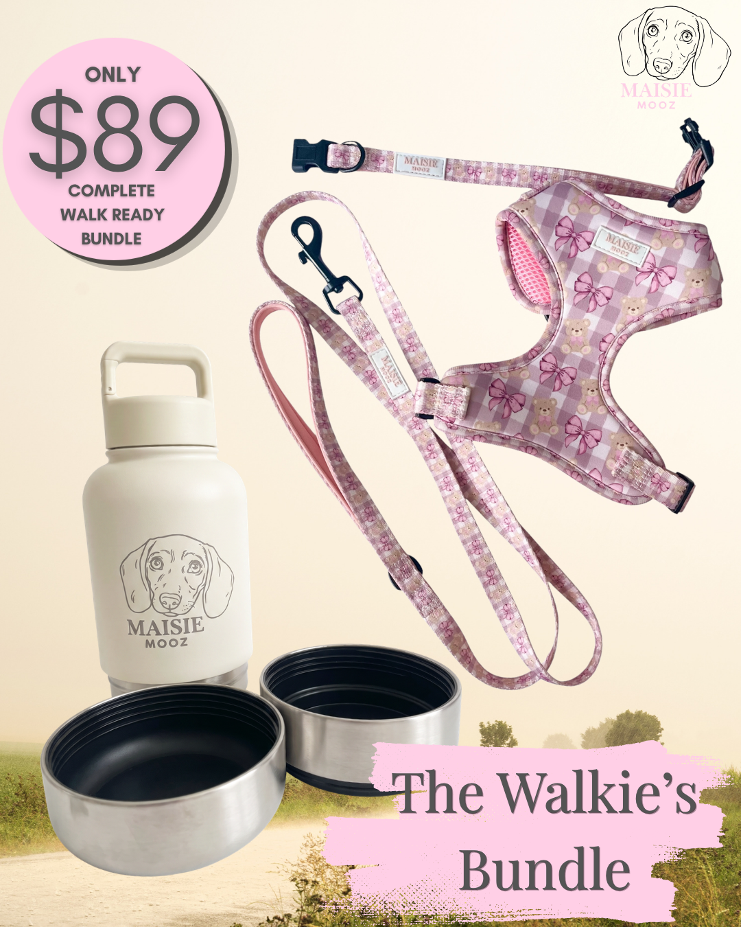 Walkies Bundle Bears and Bows