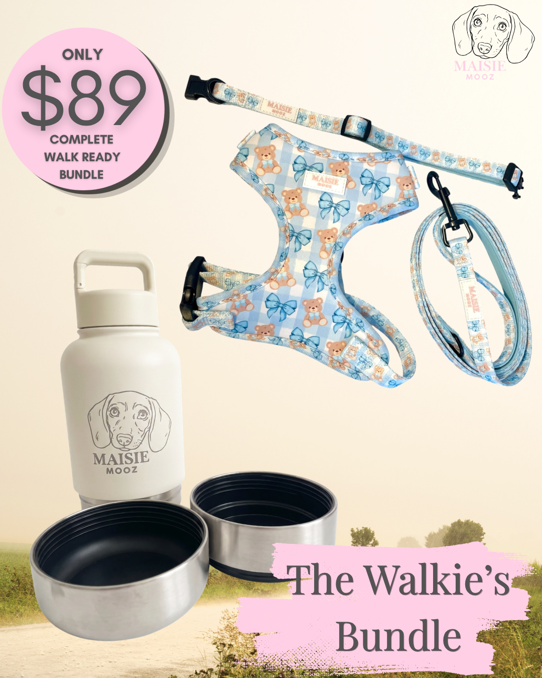 Walkies Bundle Bears and Bows Blue